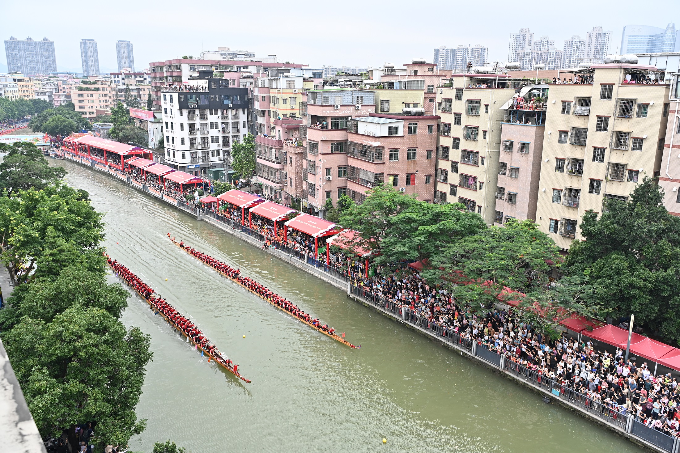 “2024一水同舟?車陂端午龍舟盛會”于6月5日上午開賽。人民網(wǎng) 周睿攝