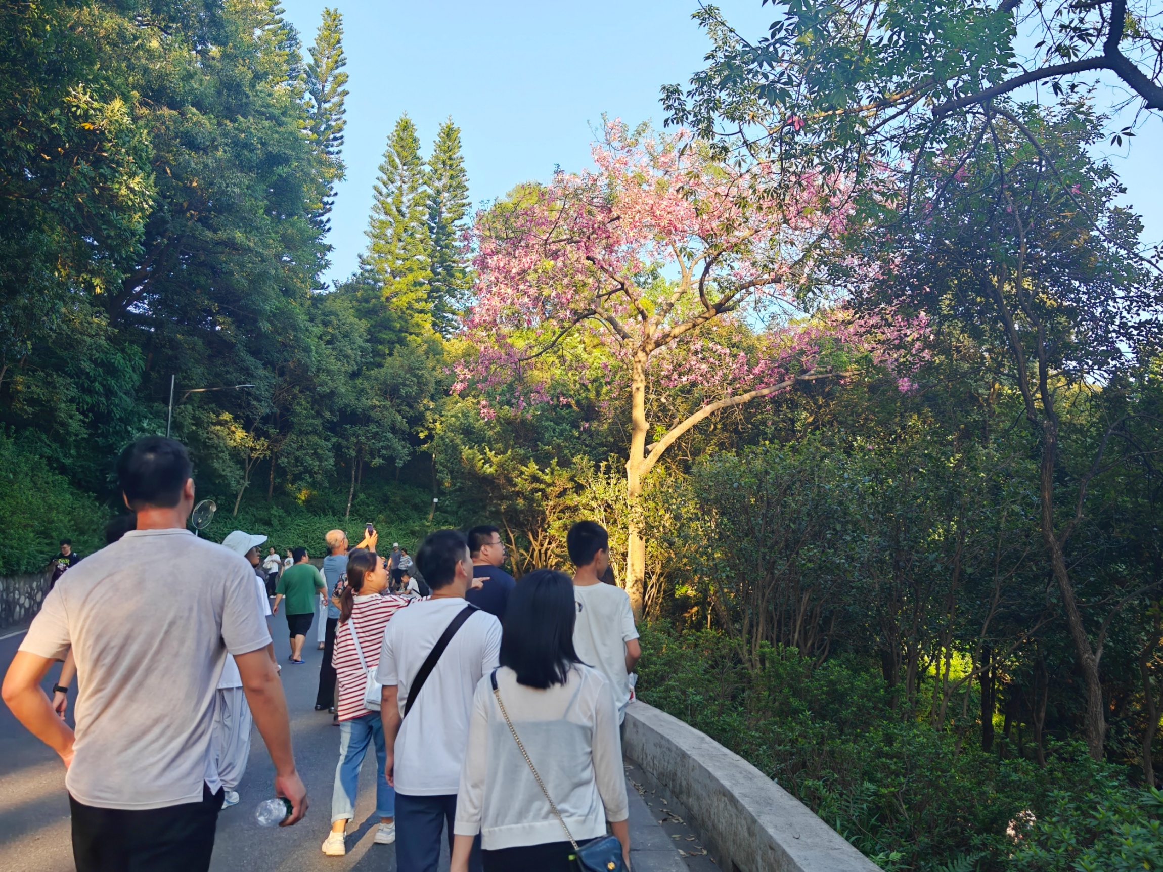 國(guó)慶假期，在廣州市白云山風(fēng)景名勝區(qū)，人們結(jié)伴出游，親近大自然。人民網(wǎng) 王雅蝶攝